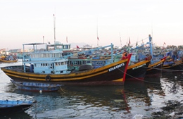 Đội tàu đánh bắt xa bờ Bình Thuận được nâng cao năng lực 